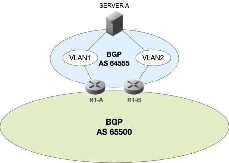 Anycast DNS BGP