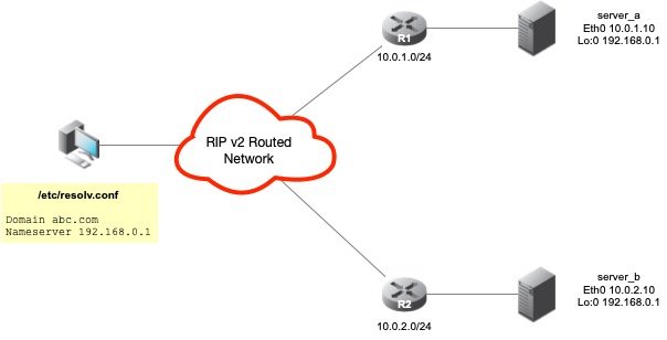 Anycast DNS using RIP