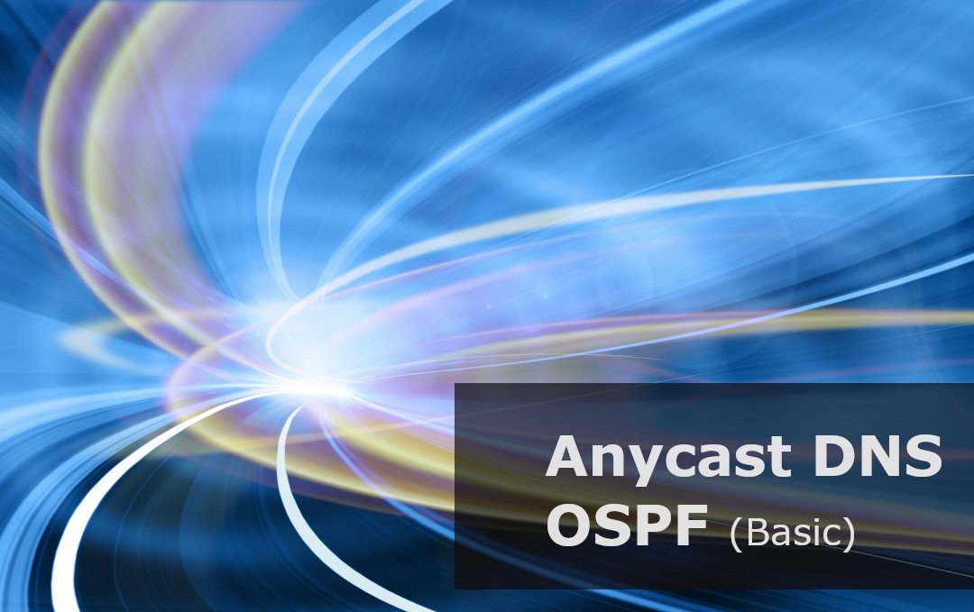 Anycast DNS