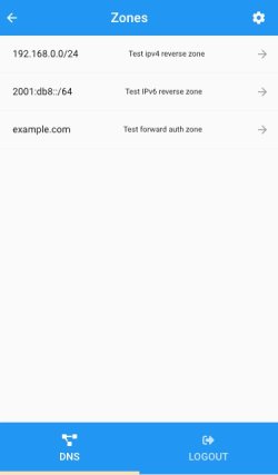 Mobile Client DNS Zones Panel