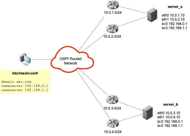 Anycast DNS OSPF Layout