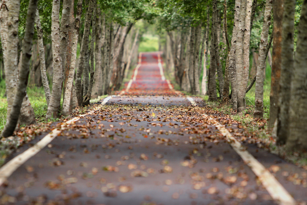 Road to success